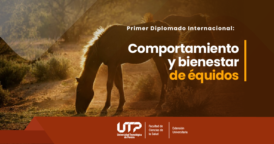 PRIMER DIPLOMADO INTERNACIONAL DE COMPORTAMIENTO Y BIENESTAR DE ÉQUIDOS