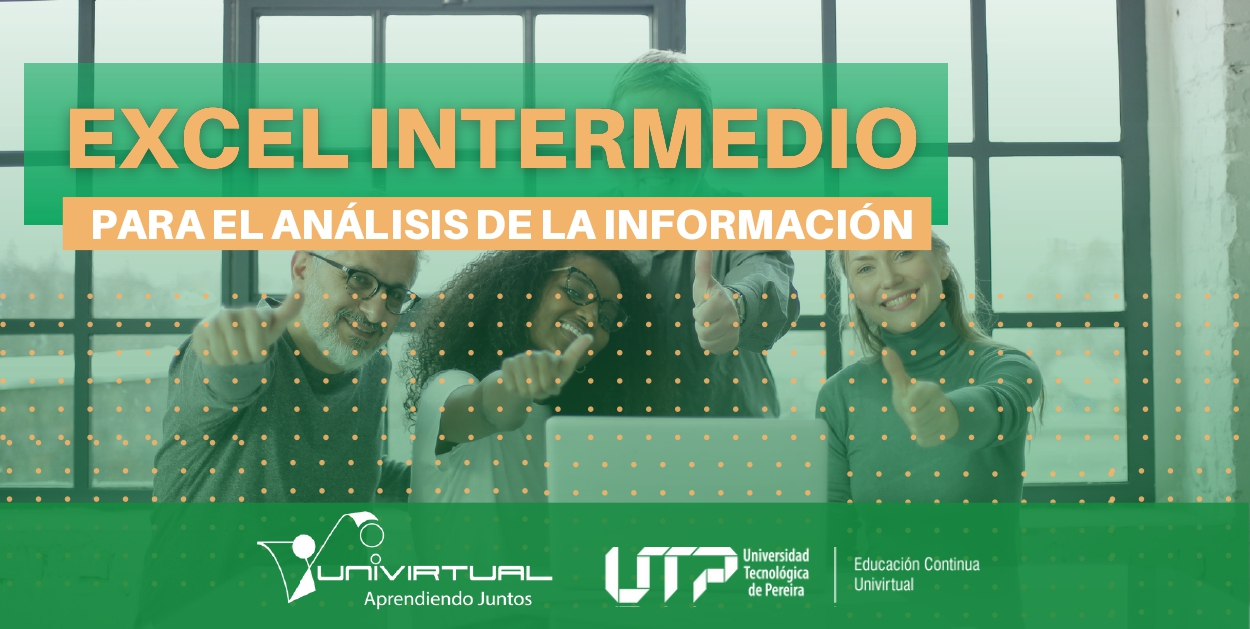 Curso de Excel Intermedio para el Análisis de la información 2024-2