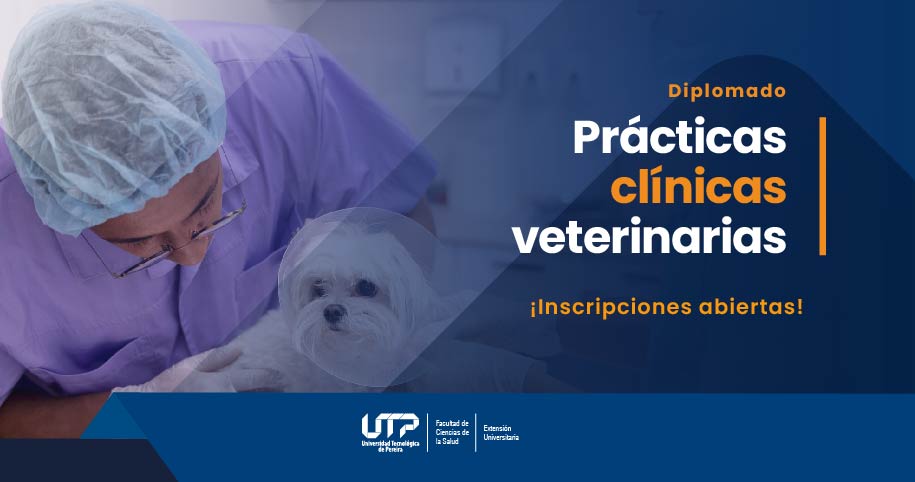 DIPLOMADO PRÁCTICAS CLÍNICAS VETERINARIAS