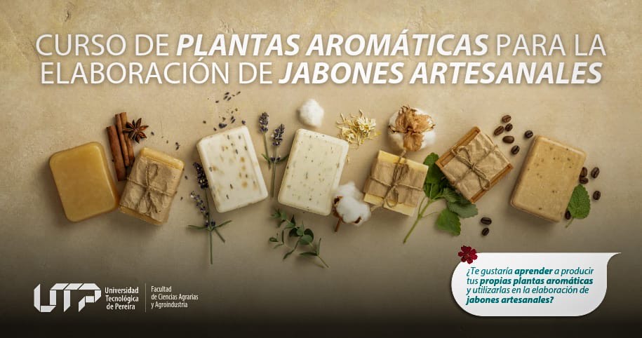 Curso de producción de plantas aromáticas para la elaboración de jabones artesanales