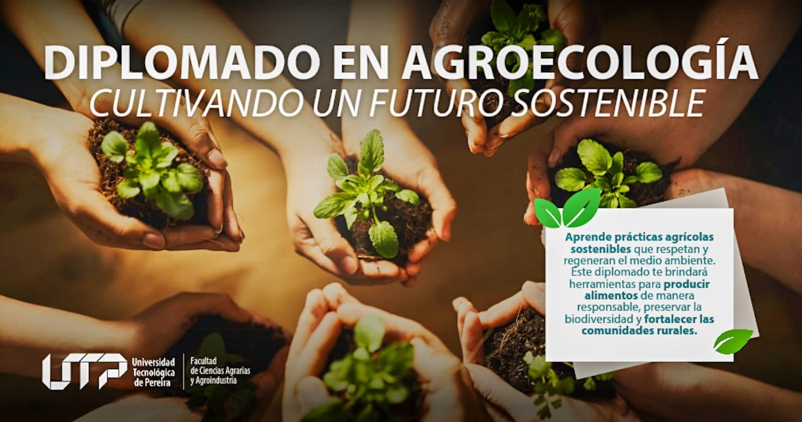 Diplomado en agroecología