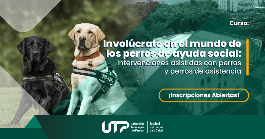 Involúcrate en el mundo de los perros de ayuda social: intervenciones asistidas con perros y perros de asistencia