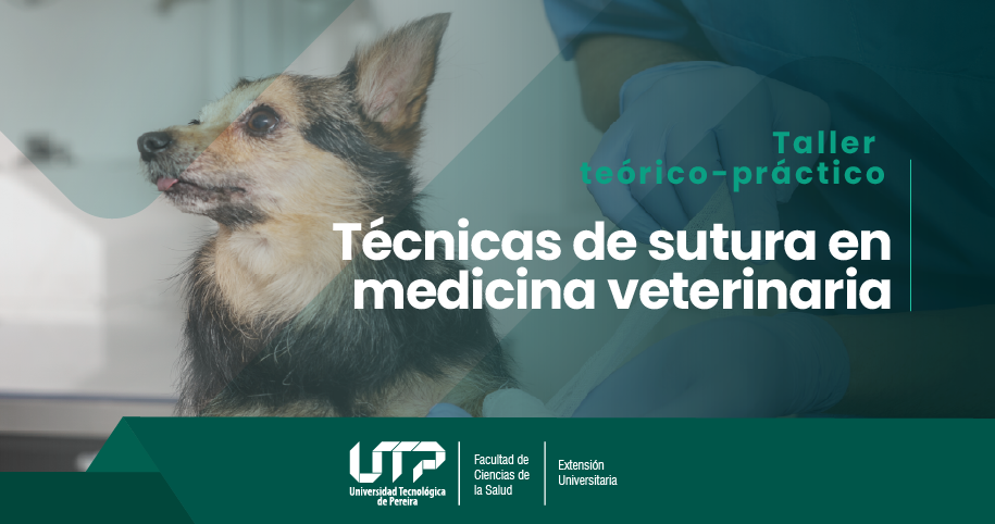 Taller teórico-práctico: técnicas de sutura en medicina veterinaria