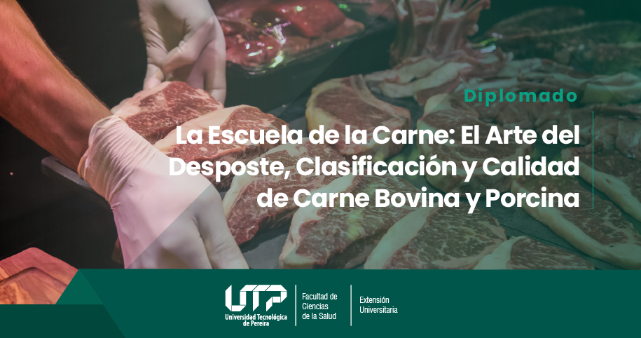 La Escuela de la Carne: El Arte del Desposte, Clasificación y Calidad de Carne Bovina y Porcina