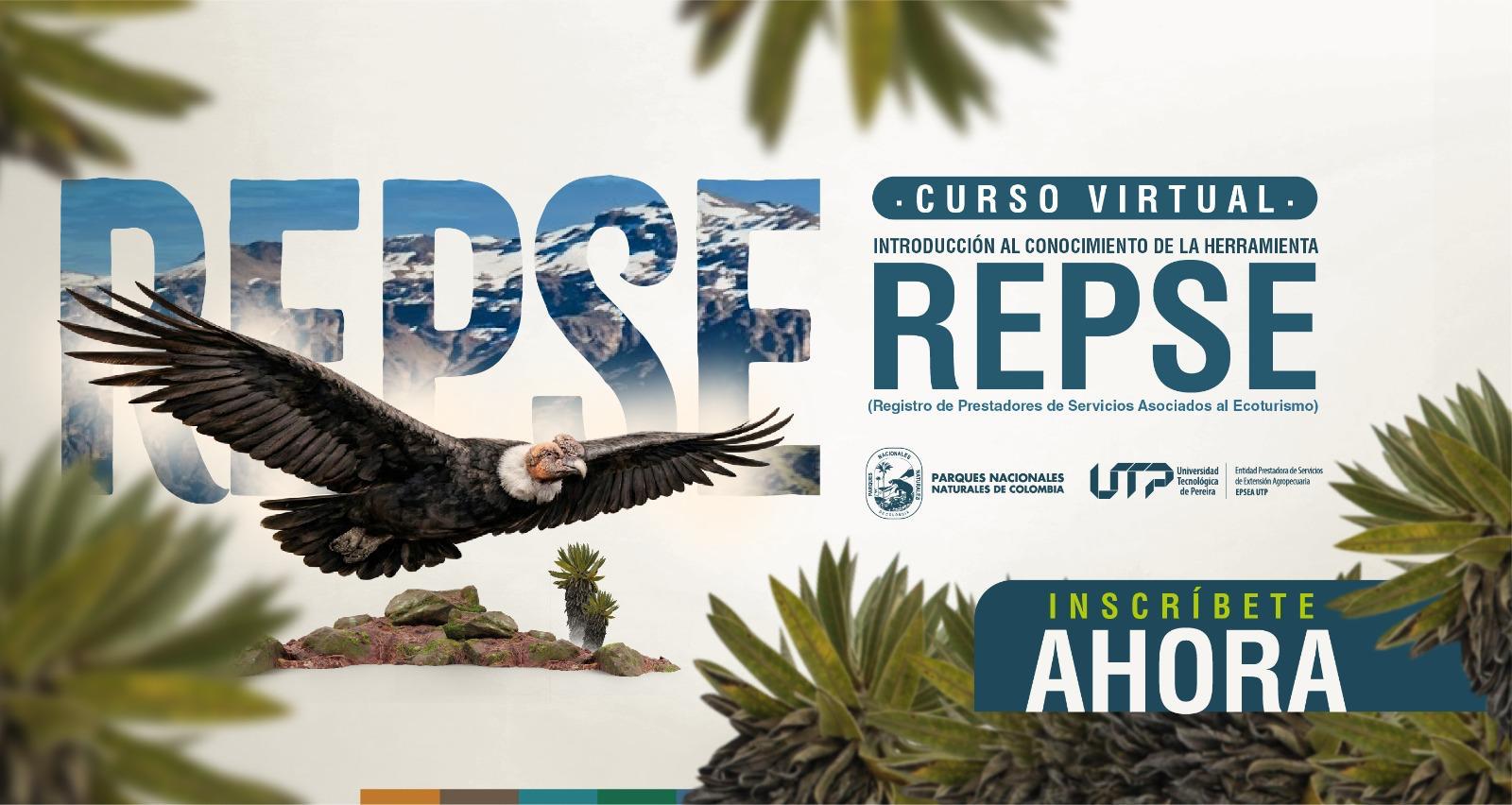 Introducción al conocimiento de la herramienta REPSE