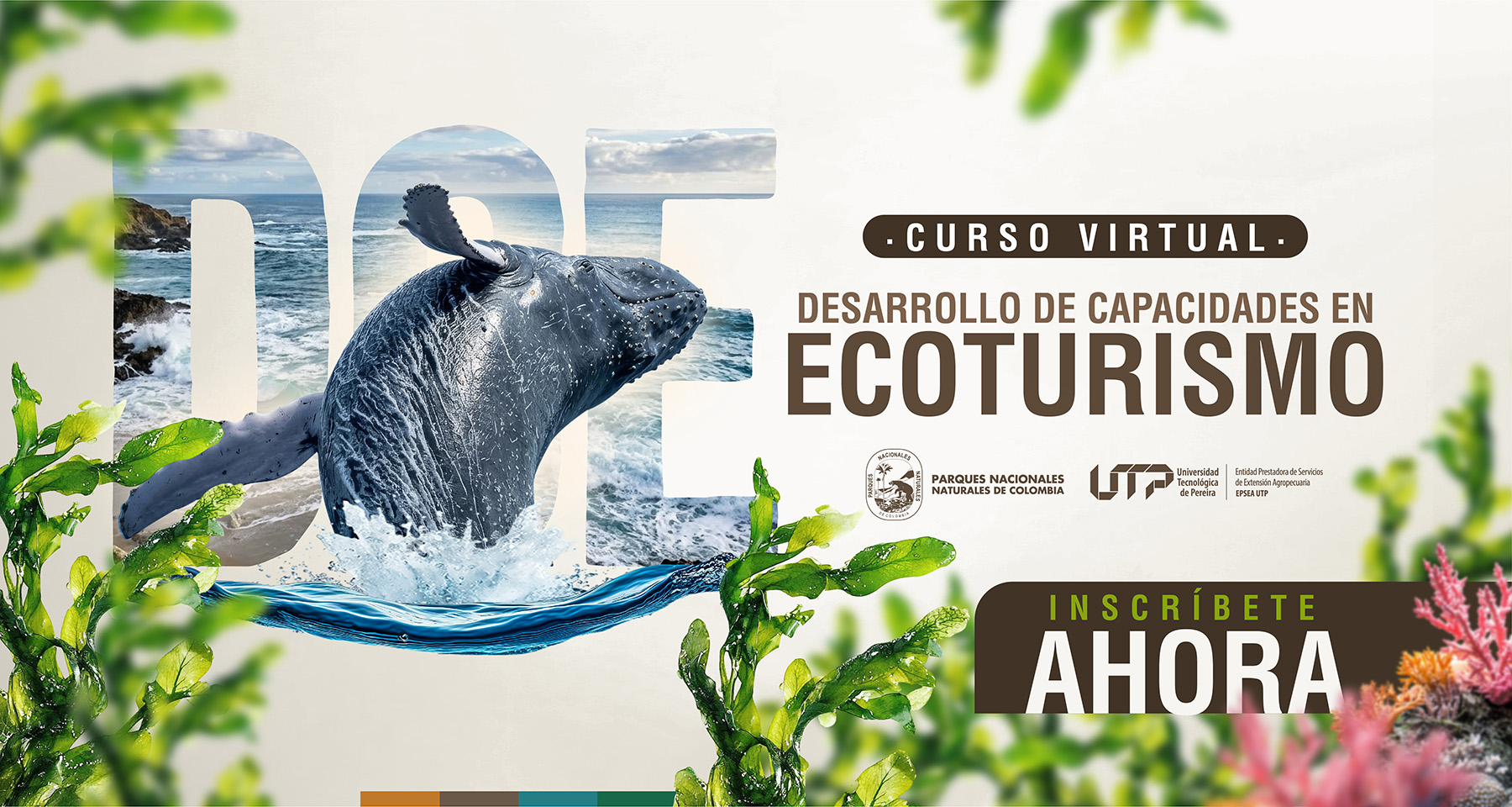 Desarrollo de Capacidades de Ecoturismo